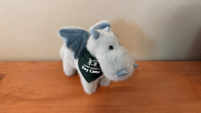 Kanata Day Camp Dragon-NEW